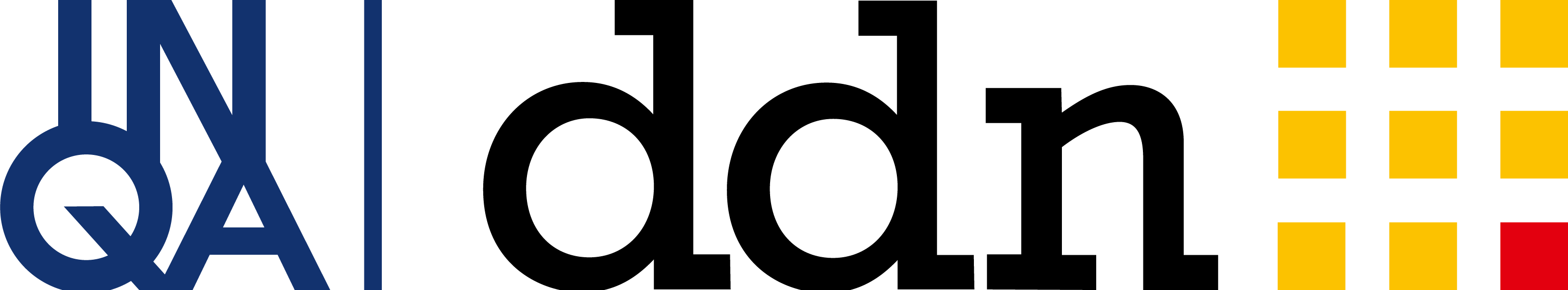 ddn e. V.